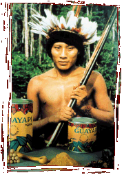 Satere Mawe Indian, Amazon, Brazil, Warana